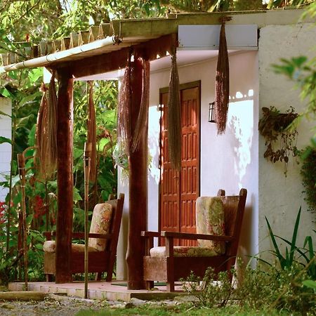 Chalé Privativo à beira do rio Jaguareguava na Mata Atlântica em Bertioga SP Villa Esterno foto