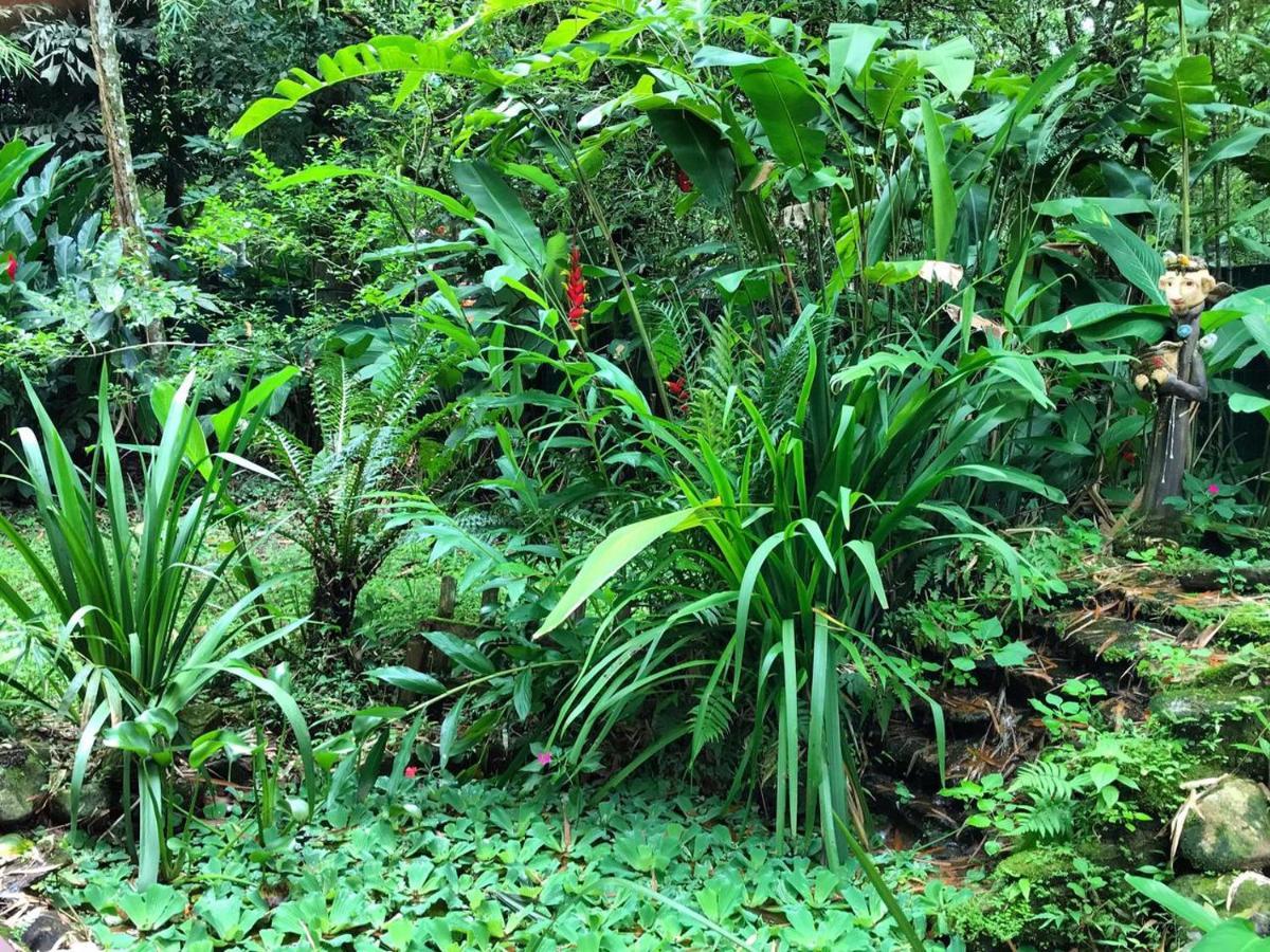 Chalé Privativo à beira do rio Jaguareguava na Mata Atlântica em Bertioga SP Villa Esterno foto