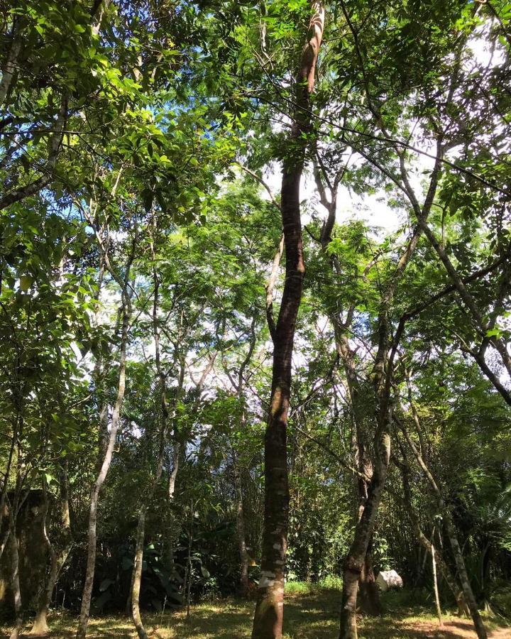Chalé Privativo à beira do rio Jaguareguava na Mata Atlântica em Bertioga SP Villa Esterno foto