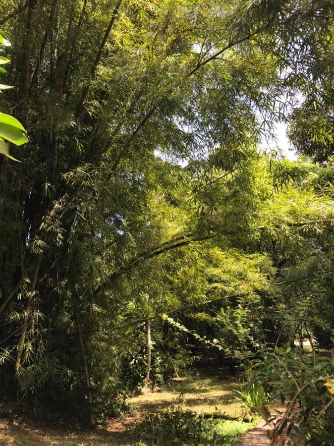 Chalé Privativo à beira do rio Jaguareguava na Mata Atlântica em Bertioga SP Villa Esterno foto