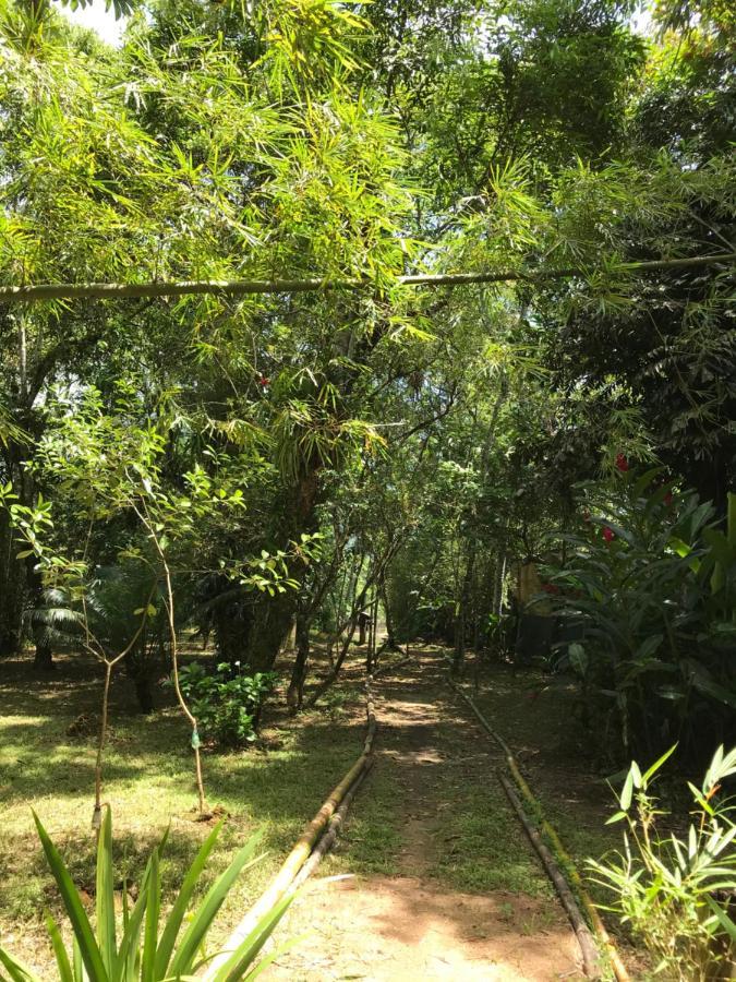 Chalé Privativo à beira do rio Jaguareguava na Mata Atlântica em Bertioga SP Villa Esterno foto