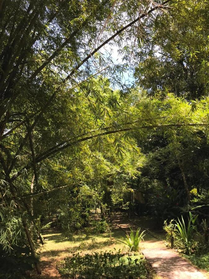 Chalé Privativo à beira do rio Jaguareguava na Mata Atlântica em Bertioga SP Villa Esterno foto